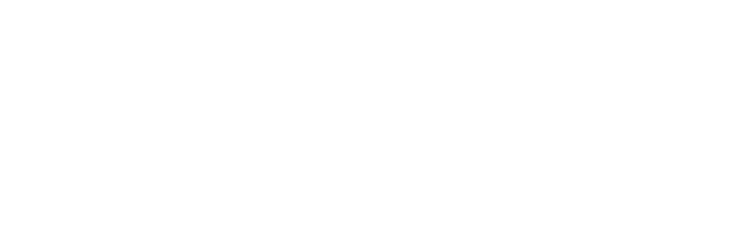 Lochinvar-Logo.webp